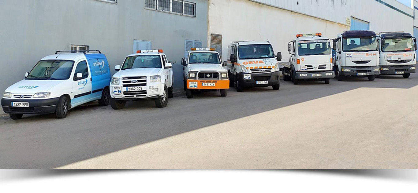 grua plataforma en castellon